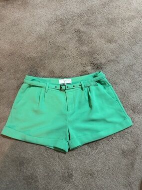 Joie Mint Green High-Rise Belted Women's Shorts